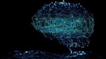 What a A.I thinks about A.I