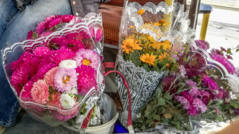 Old Woman with Flowers 💐