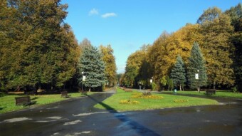 A pleasant October day, perfect for a walk - My Actifit Report Card: October 26 2023