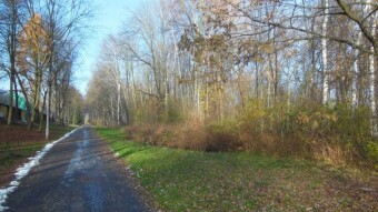 Today is a classic spring walk. Yes, spring, because it was plus 16 degrees in the shade!! - My Actifit Report Card: November 25, 2024