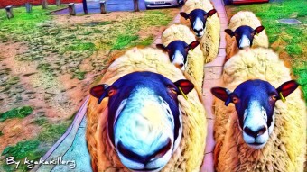 Sheep in the hood digital art creations