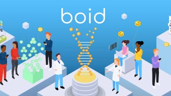 Boid Alpha