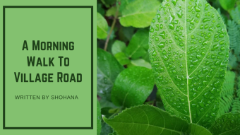A Morning Walk To Village Road