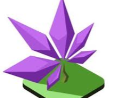 Flowerpatch Review