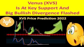 Venus (XVS) Is At Key Support And Big Bullish Divergence Flashed | XVS Price Prediction 2022