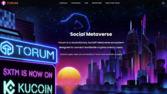 Decentralized Social Metaverse Torum