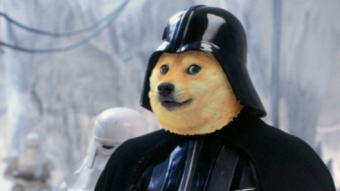 Doge is Aliiiiive! 🐕