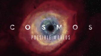 Why did Cosmos ATOM surge?