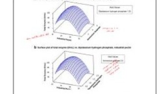 GradHack1: How I Read Scientific Articles