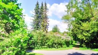 A beautiful, sunny, and warm day - finally! - My Actifit Report Card: May 19, 2026