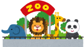 The Zoo's Portfolios - Month 1 / Week 1