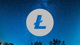 Litecoin After Halving