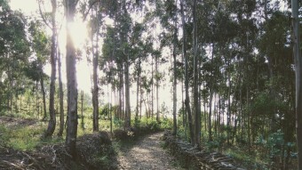 Trip in Portugal - Valongo valleys
