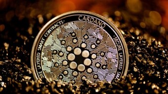 Cardano's Alonzo update receives "Green-Light" at Aug. 27 Go/No-Go meeting — Charles Hoskinson