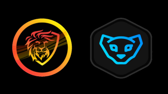 Participating in Leo Power Up day