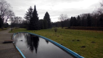 Strong wind and a sudden drop in temperature - a successful walk - My Actifit Report Card: February 7 2024