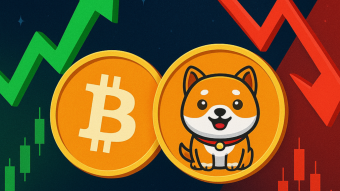 BabyDoge: The Sleeping Giant Awakens – Why 2025 Could Be BabyDoge’s Breakout Year