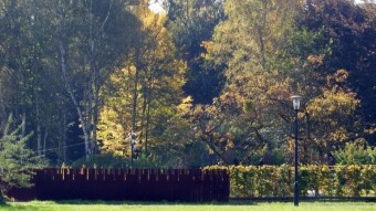 Another warm October day. Mandatory walk - My Actifit Report Card: October 13 2023