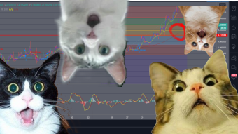increase your earnings up to 240% with CHAINLINK