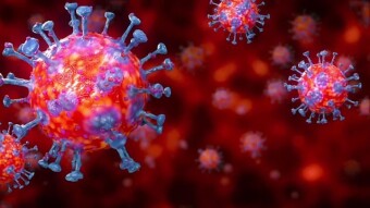 Ghana Records 313 Positive Coronavirus Cases With 6 Deaths