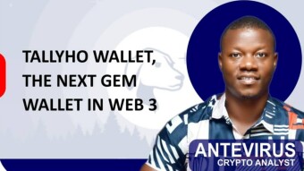 TallyHo Wallet, the next Big Thing in Web3.