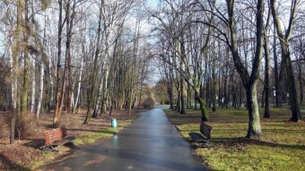 Continued pleasant spring weather - My Actifit Report Card: January 3 2024