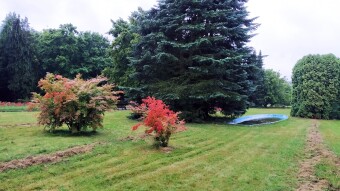 Monday with rain, wind, flooding and a nightmare - My Actifit Report Card: July 28, 2025