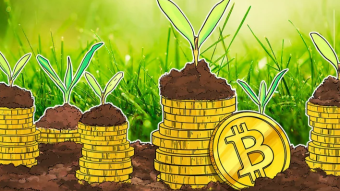 Bitcoin Investors Hodl $530M More BTC Each Day as Halving Nears — Data