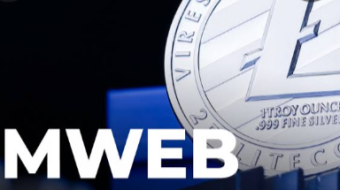 MimbleWimble Makes Litecoin Transactions Private Forcing South Korean Exchanges To DELIST It...