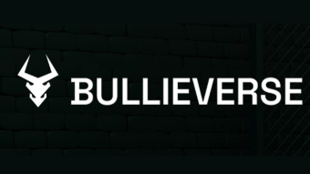Bullieverse - Open Metaverse for NFT based Games