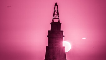 Some Viva MagentaS
