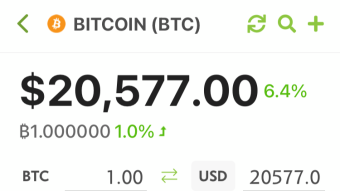 Bitcoin Smashed 20K How High Will it Go?