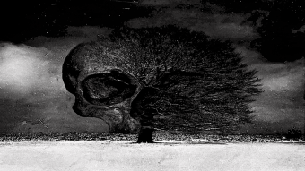 Time Beneath the Willow