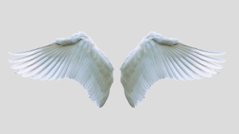 Do We Become Angels?
