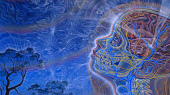 Bitcoin Observations - 12/20