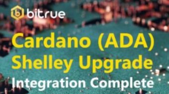 Bitrue Exchange: Ready for Shelly (ADA)