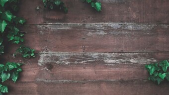 Writing Portfolio (last updated 28th September 2021)