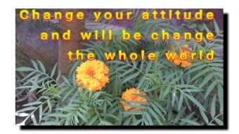 Change your attitude  change the whole world