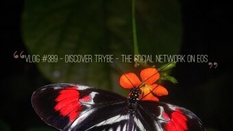Vlog #389 - Discover Trybe - The Social Network on EOS