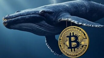 Two Bitcoin Whales Woke Up After 14 Years