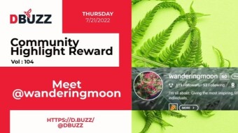 D.Buzz Community Highlight: @wanderingmoon