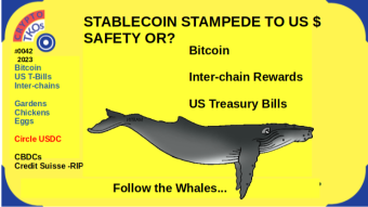 STABLECOINS: THE PRIMAL INVESTOR SURVIVAL INSTINCT- STAMPEDE TO US $ SAFETY OR?