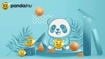 Brand New Launch ( Panda Inu )  10,000x Earning Potential To get placed in early in private sale.