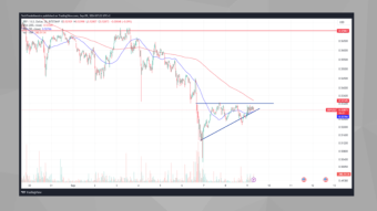 XRP/USD: First Weekly Analysis