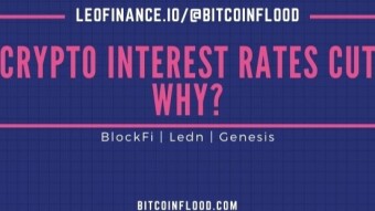 Crypto Platforms Are Cutting Interest Rates, Why?
