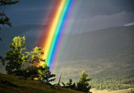 How do you like the magic of the Rainbow?
