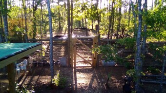 Apocalyptic Homesteading (Day 161-168)