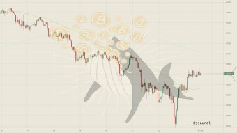 When Bitcoin Price Reached $65K, You Were Waiting for an Opportunity To Buy. The Opportunity Is Now.