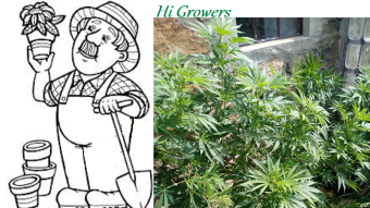 Garden Trash Vol.2 #4