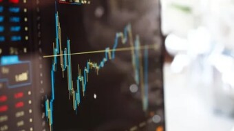 The Behavior of The Strongest in the Market